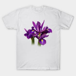 Elegant Dutch Iris Purple Sensation T-Shirt